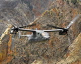 STK102943M