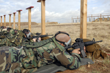 STK103005M