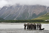 STK103022M
A group of Navy SEAL's prepares to cross Phelan Creek.