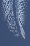 STK103211M