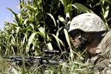 STK103291M
U.S. Marine maintains security in a wheat field.