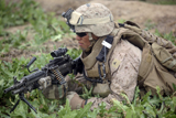 STK103515M
A rifleman provides security during a patrol in Marjah, Afghanistan.