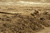 STK104906M
U.S. Army soldier fights racing water while holding onto a tow strap.