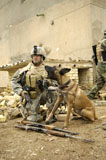 STK105407M
A dog handler and his military working dog take a short break.