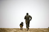 STK105417M
A dog handler and his military working dog take a brisk walk.
