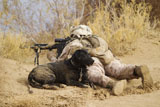 STK105432M
U.S. Marine and a military working dog provide security in Afghanistan.