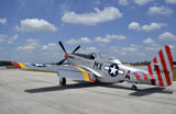 STK105462M
North American F-51D Mustang.