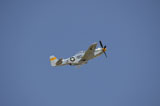 STK105487M
A P-51 Mustang in flight over Florida.