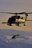 STK105834M
Two Alaska Air National Guard HH-60G Pave Hawks in flight over Alaska
