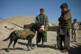 STK106856M
A coalition forces military working dog stands with children in a village.
