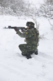 STK106859M