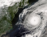 STK200383S
Hurricane Alex