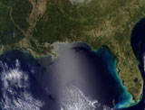 STK200437S
Satellite view of the Southeastern United States.