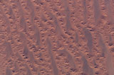 STK202600S