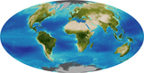 STK202776S
Average plant growth of the Earth.