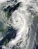 STK203414S
Tropical Storm Dianmu