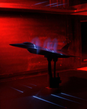 STK203465S
A basic flow visualization test of an F-16XL Scamp model.