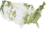 STK203839S
Map of the United States showing the concentration of biomass.