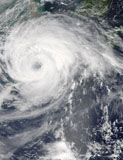 STK204006S
Typhoon Haikui