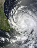 STK204010S
Hurricane Ernesto