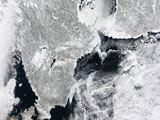 STK204049S
Sea ice lines the coasts of Sweden and Finland in this satellite view.