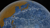 STK204075S
This visualization shows ocean surface currents of the Kuroshio Current.