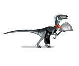 STK600134P
Illustration of a raptor food waiter.