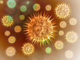STK700108H
Microscopic view of cancer cells.