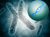 STK700376H
Conceptual image of a telomere showing DNA structure.