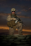 TMO100504M
Portrait of a U.S. Marine in uniform.