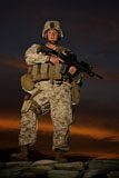 TMO100506M
Portrait of a U.S. Marine in uniform.