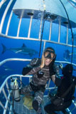 TSW400195U
Great white shark behind frightened diver inside shark cage.