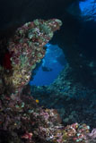 TSW400227U
Diver at Boo Windows in Raja Ampat, Indonesia.