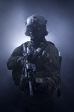 TWE300035M
Special operations forces soldier equipped with night vision and an HK416 assault rifle.