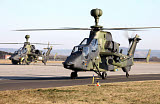 TZG100012M