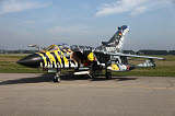 TZG100042M
A Panavia Tornado aircraft with special paint scheme.