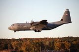 TZG100049M