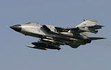 TZG100065M
