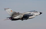 TZG100066M