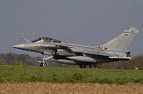 TZG100079M