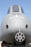 TZG100106M