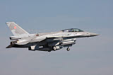 TZG100110M