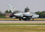 TZG100113M