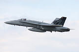 TZG100118M