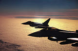 TZG100157M