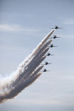 TZG100216M
The Saudi Hawks aerobatic team of the Royal Saudi Air Force.