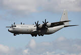 TZG100226M