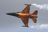TZG100259M
Dutch Air Force F-16A during a flight demonstration.