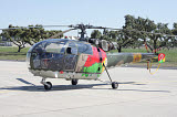 TZG100286M