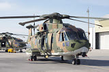 TZG100296M
An EH101 utility helicopter of the Portuguese Air Force.